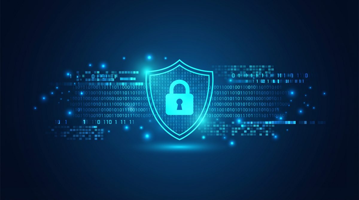 育苗加速器隐私安全保护